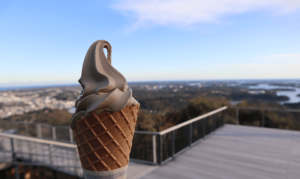 横山展望台のソフトクリーム